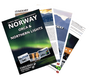 Orca and Northern Lights Norway Photo Tour Brochure