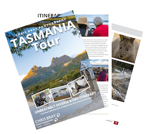 Tasmania Tour Brochure