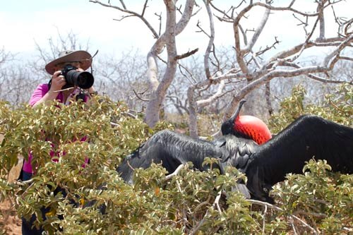 galapagos amazon photo tour example 10
