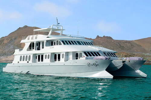 galapagos amazon photo tour example 16