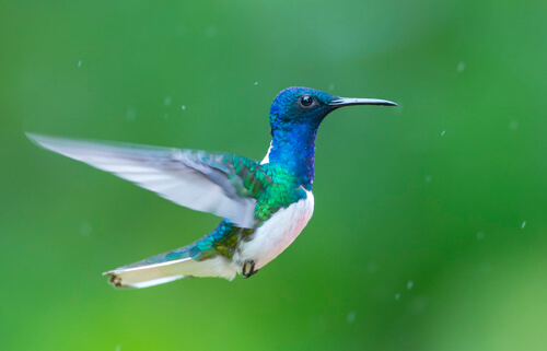 galapagos amazon photo tour example 24