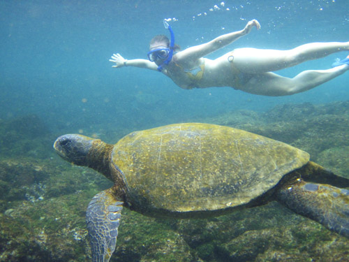 galapagos amazon photo tour example 35