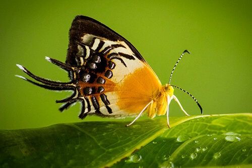 galapagos amazon photo tour example 43