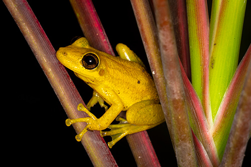 galapagos amazon photo tour example 57