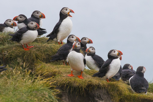 iceland greenland photo tour example 31