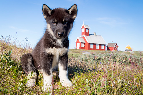 iceland greenland photo tour example 35
