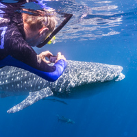Karijini Ningaloo photo tour whale shark