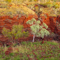 Karijini Ningaloo photo tour landscapes gorges