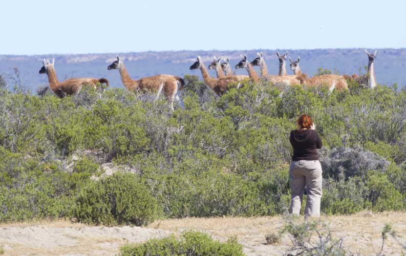 patagonia photo tour example 16