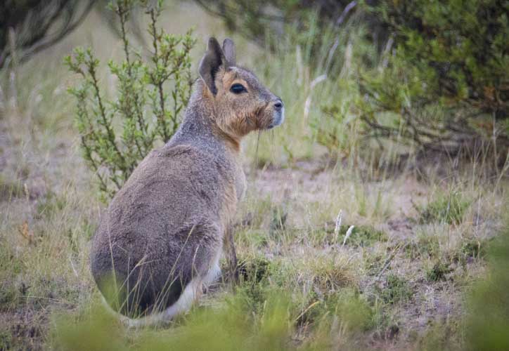 patagonia photo tour example 18