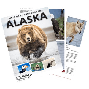 Download Alaska Tour Brochure