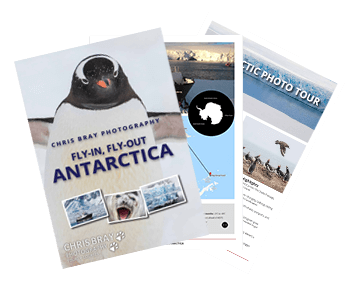 Download Antarctica Tour Brochure