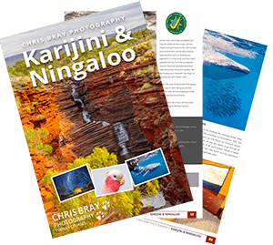 Download Karijini & Ningaloo Tour Brochure