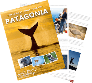Patagonia Tour Brochure