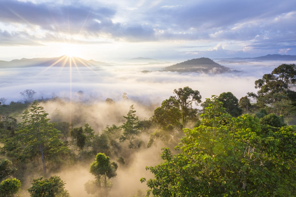 Sunrise over Borneo's jungle