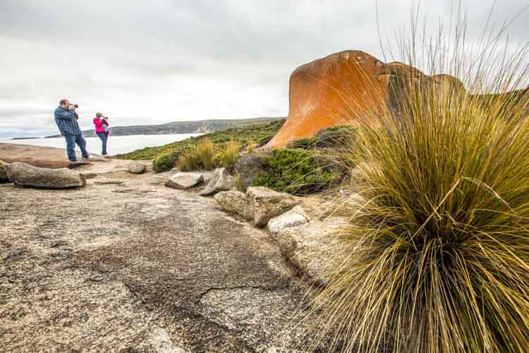 kangaroo island photo tour example 9