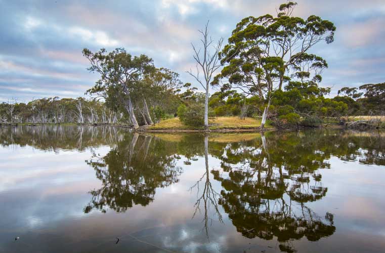 kangaroo island photo tour example 24