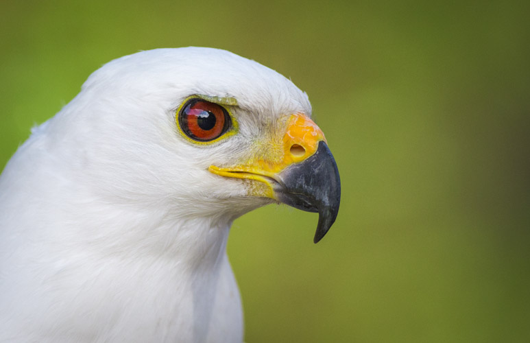 kangaroo island photo tour example 25