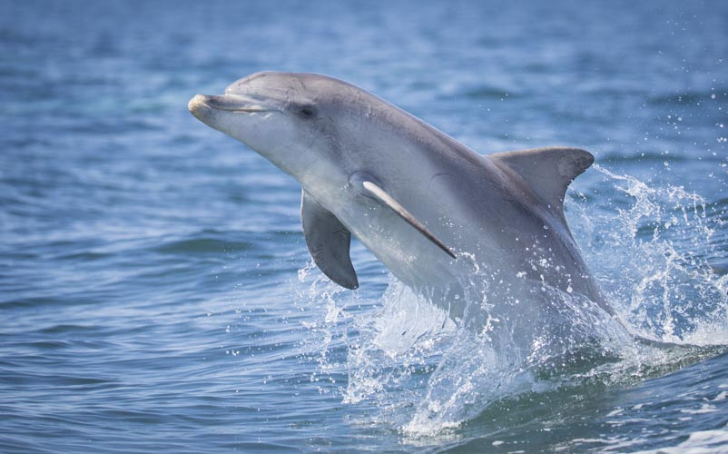 kangaroo island photo tour example 26