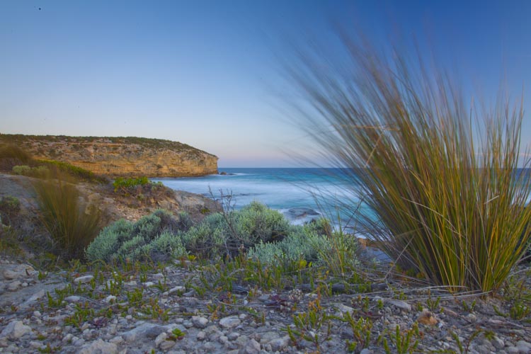kangaroo island photo tour example 32