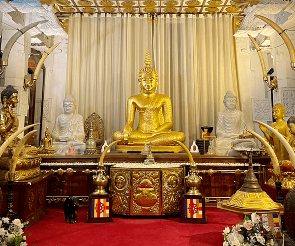 buddha temple culture tooth relic sri lanka photo tour